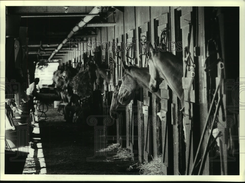 1990 Press Photo Horses in their stalls at Saratoga Raceway in New York - Historic Images