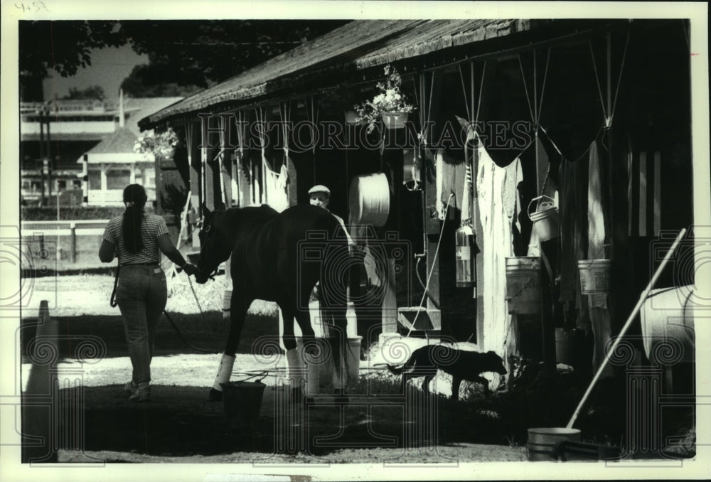 1990 Press Photo Groom leads horse through barn at Saratoga Raceway, New York - Historic Images