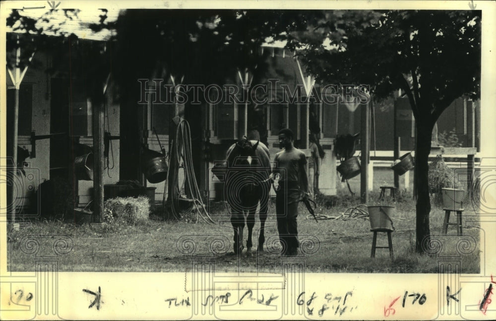 1979 Press Photo Trainer cools off horse after workout in Saratoga, New York- Historic Images