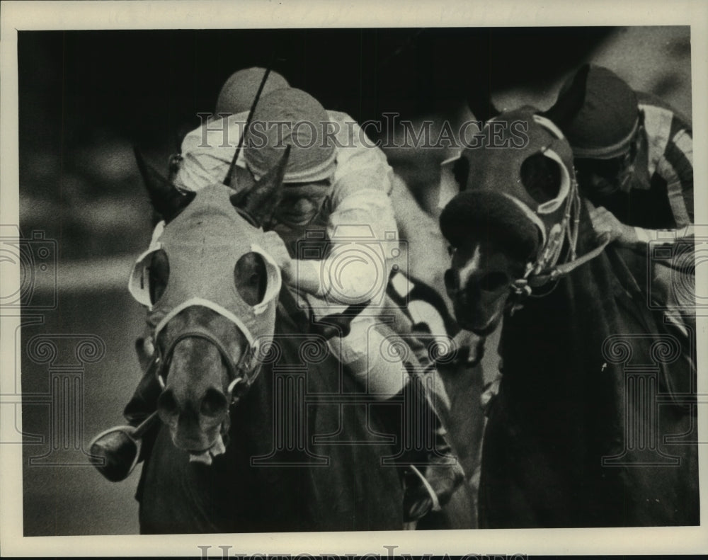 1985 Press Photo Dancing Spats wins race at Saratoga Raceway, New York- Historic Images