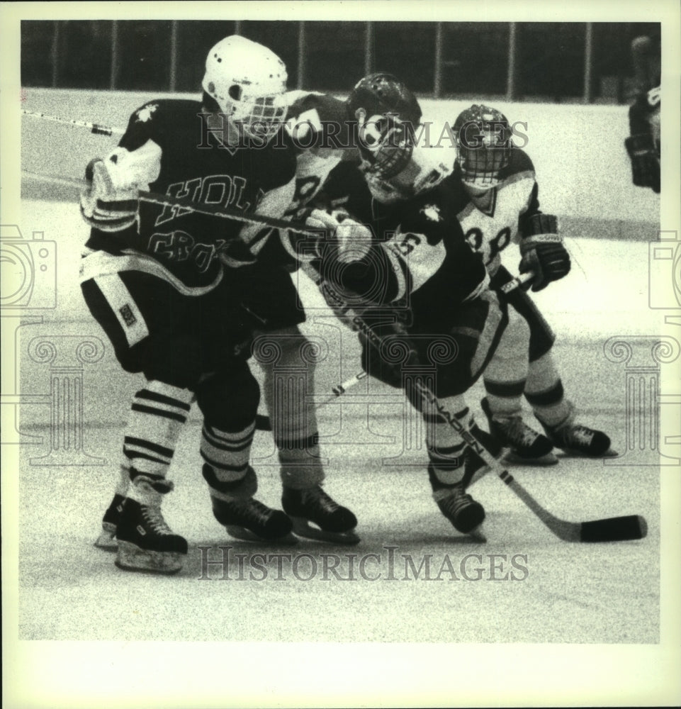 1987 Press Photo College hockey game, Rensselaer Polytechnic Institute, Troy, NY - Historic Images
