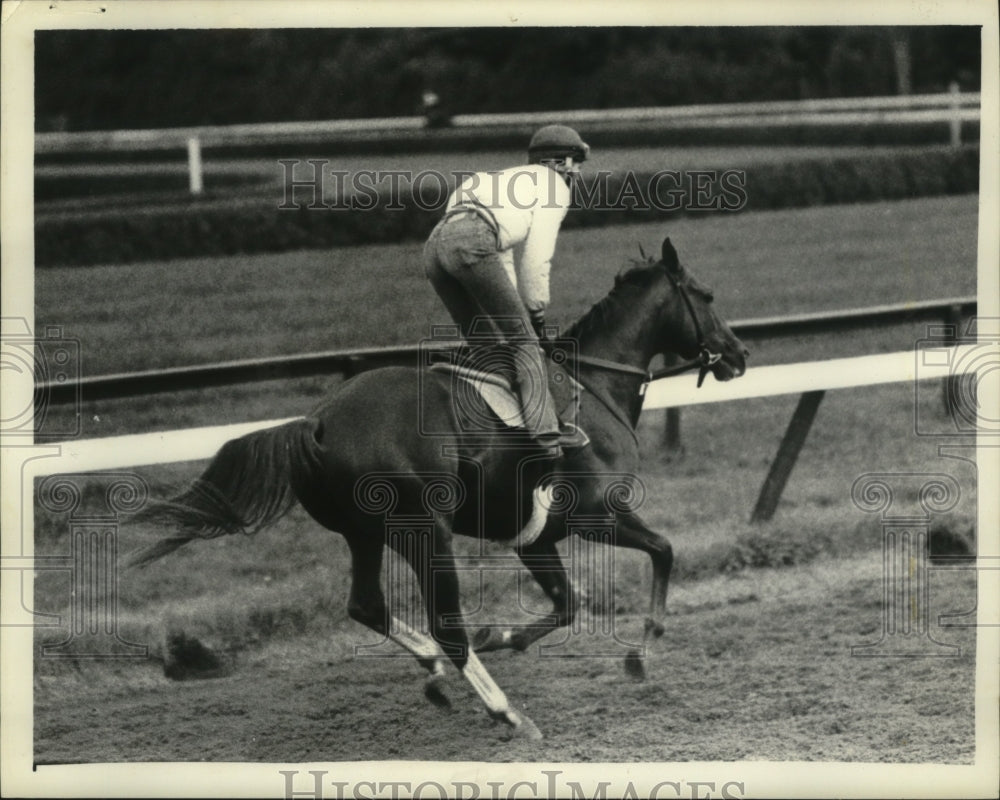 1982 Press Photo Vonnie Pasco rides on Condition Red in practice at Saratoga NY - Historic Images