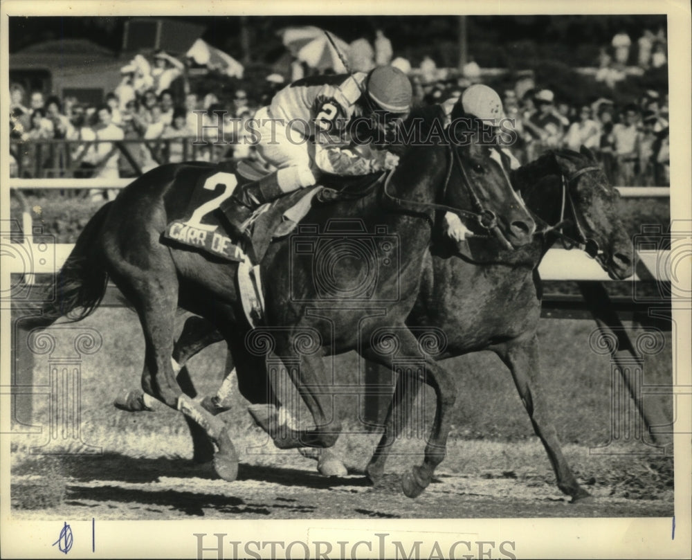 1984 Press Photo Stretch drive with Carr de Naskra and Pine Circle in Travers - Historic Images