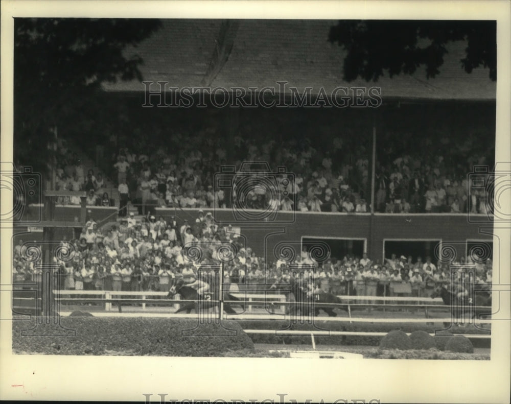 1983 Press Photo View of horses &amp; grandstand at the finish of 1st race Saratoga - Historic Images