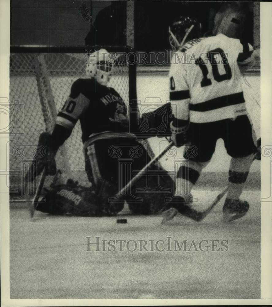 1984 Press Photo Union College vs. Norwich University hockey game, New York- Historic Images