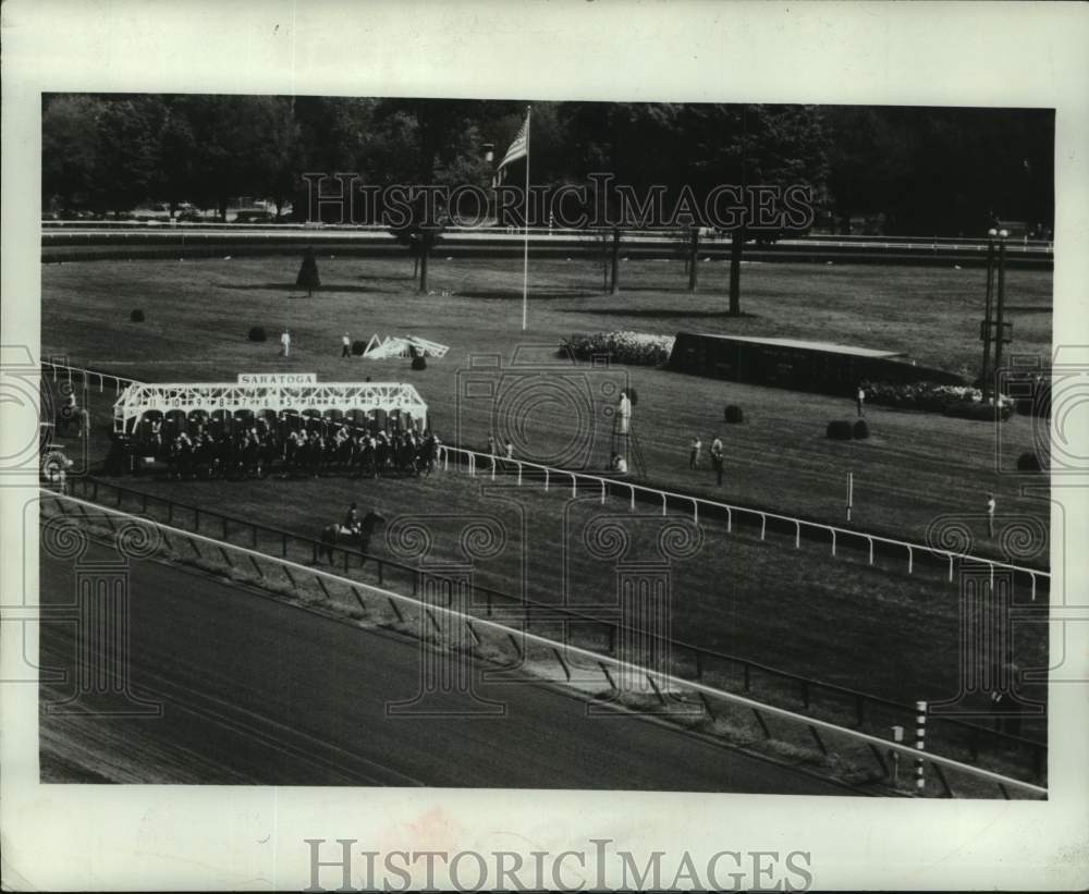 1978 Press Photo Horses race from starting gate at Saratoga Raceway, New York - Historic Images