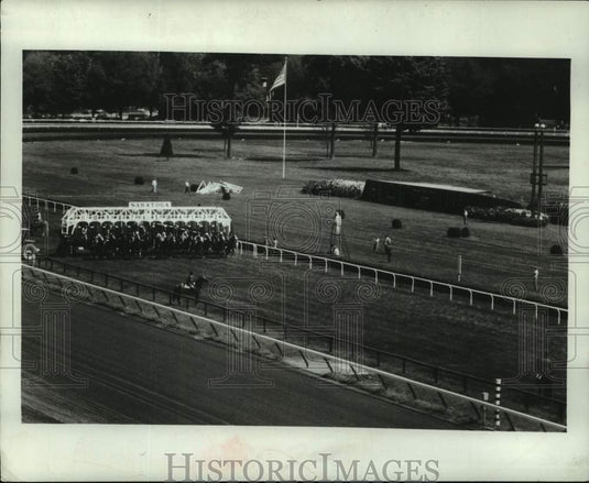 1978 Press Photo Horses race from starting gate at Saratoga Raceway, New York - Historic Images