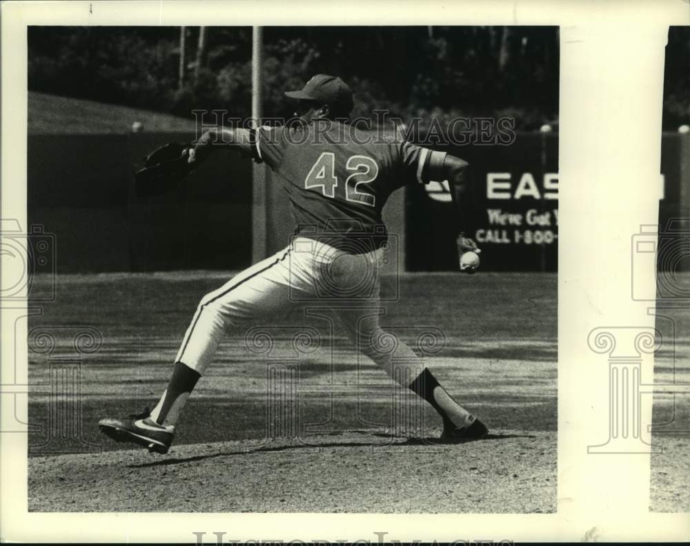 Pittsfield Cubs pitcher Mike Harkey at Heritage Park, Colonie, NY - Historic Images
