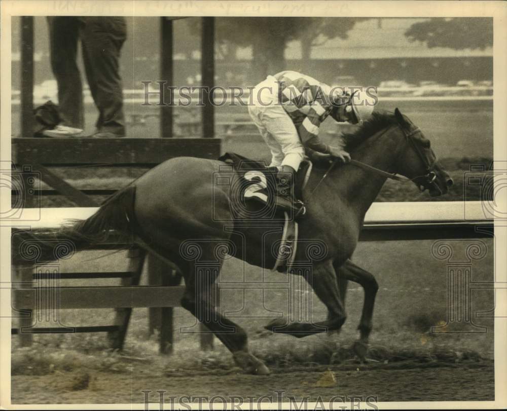 1984 Press Photo Video Talc with Skinner up looks around for competition in race - Historic Images