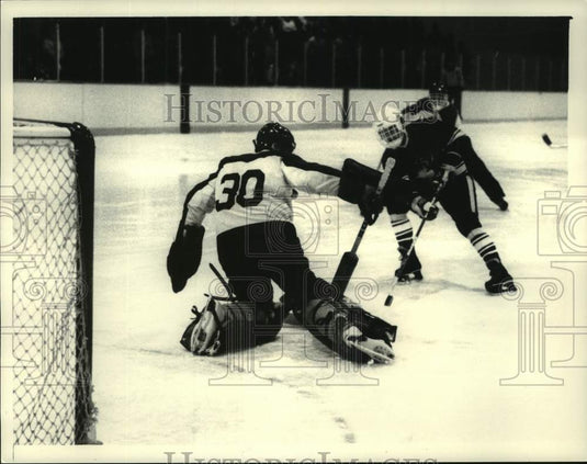 1983 Press Photo Hockey goalie