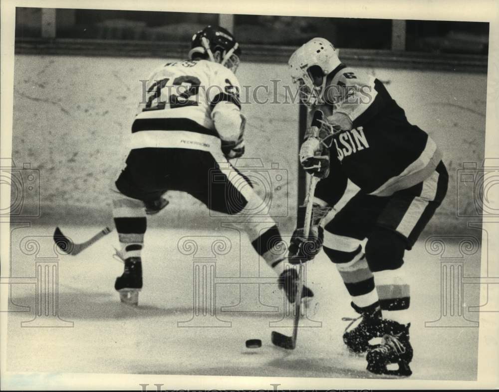 1985 Press Photo Union College vs. Babson College hockey, Schenectady, New York- Historic Images