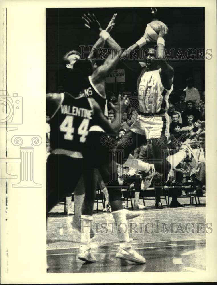 Press Photo Albany Patroons vs. Tampa Bay Thrillers basketball game, New York - Historic Images