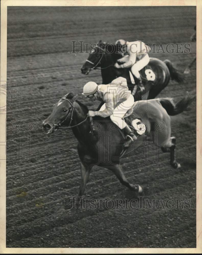 1966 Press Photo Racehorses in action at Saratoga Race Course - tus05958 - Historic Images