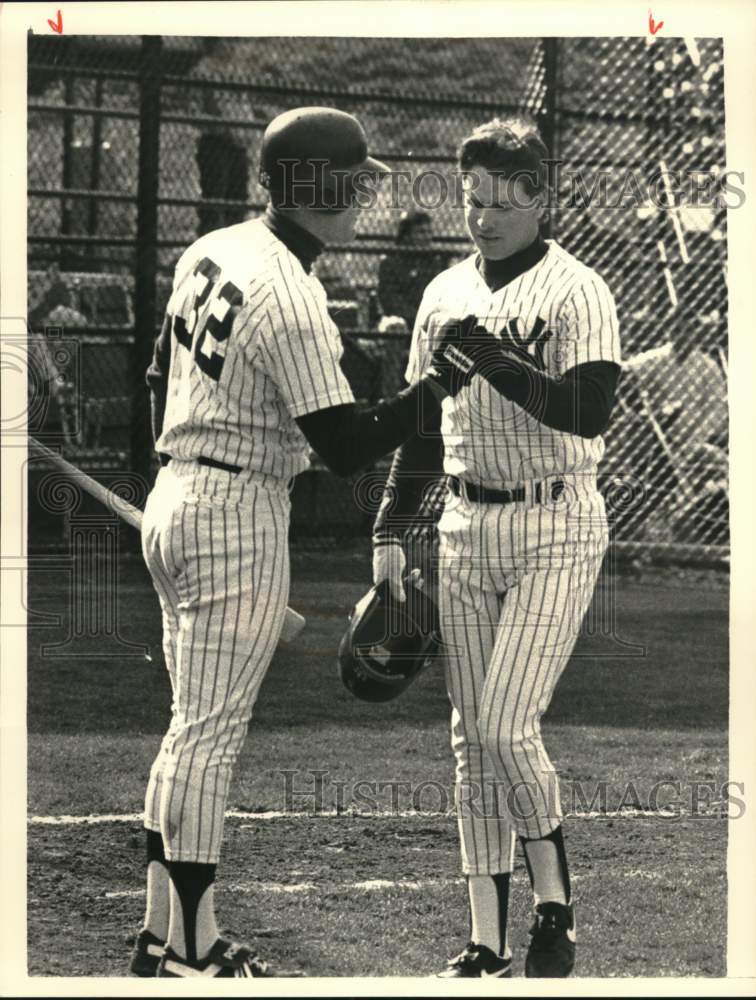 Press Photo Eastern League Yankees play baseball at Heritage Park - tus06004- Historic Images