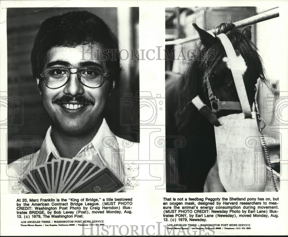 1979 Press Photo Mark Franklin, bridge expert, and pony wearing an oxygen mask- Historic Images