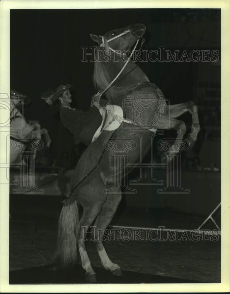 1980 Lipizzaner Stallion Tony the Wonder Horse performs in New York - Historic Images