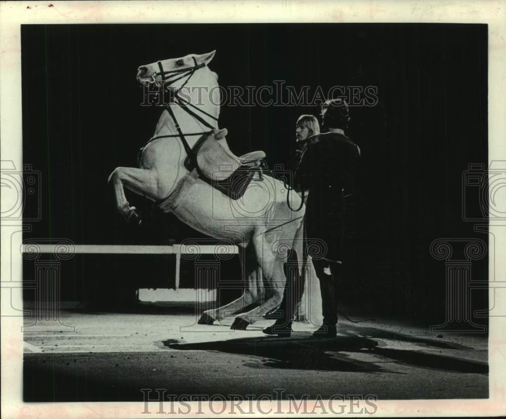 1980 Press Photo Lipizzaner horse performs in The Royal Lipizzan Stallion Show - Historic Images