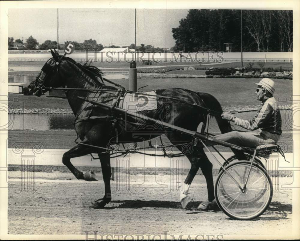 Press Photo Harness driver Stanley Dancer with Tiogas Lightning in Saratoga, NY - Historic Images